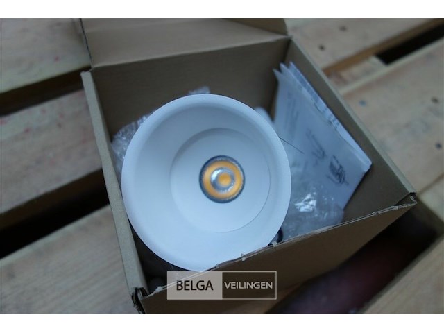 Tal 348647 cedrus beaufort leaf - afbeelding 1 van  3