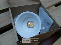 Tal 348647 cedrus beaufort leaf - afbeelding 1 van  3