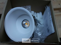 Tal 348647 cedrus beaufort leaf - afbeelding 3 van  3