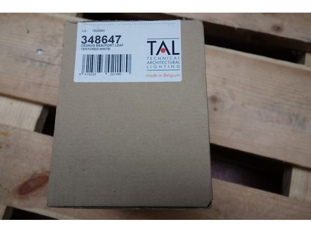 Tal 348647 cedrus beaufort leaf - afbeelding 3 van  5