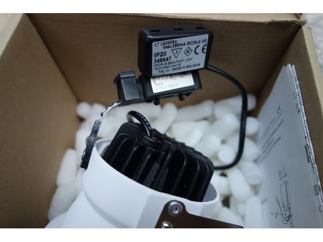 Tal 348647 cedrus beaufort leaf - afbeelding 4 van  5