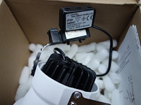 Tal 348647 cedrus beaufort leaf - afbeelding 4 van  5