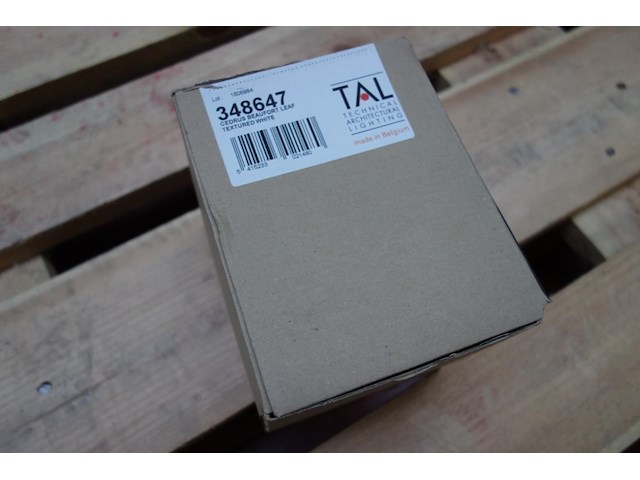 Tal 348647 cedrus beaufort leaf - afbeelding 2 van  3