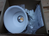 Tal 348647 cedrus beaufort leaf - afbeelding 3 van  3