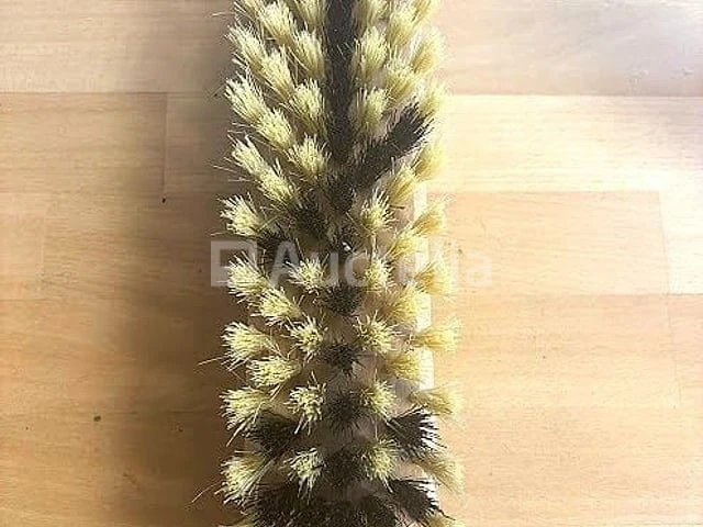 Tampico scrub brush 30cm (15 stukjes per doos) - afbeelding 3 van  6