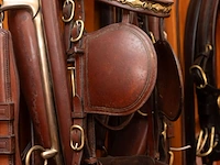Tandem gareeltuig – van der wiel - afbeelding 4 van  6