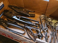 Tangen - afbeelding 2 van  2