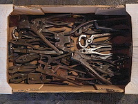 Tangen - afbeelding 1 van  1