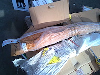Tapijt 90x150 cm - afbeelding 1 van  2