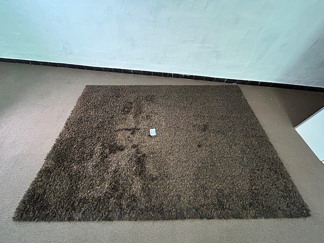 Tapijt createx - afbeelding 1 van  4