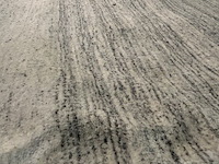 Tapijt floorline - afbeelding 3 van  6