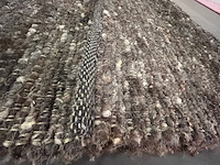 Tapijt floorline - afbeelding 3 van  5