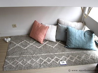 Tapijt plus 5 kussens flexa