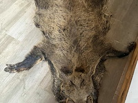 Tapijt taxidermie everzwijn - afbeelding 1 van  1