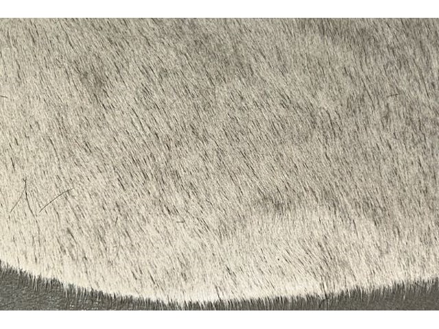 Tapijt - afbeelding 2 van  3