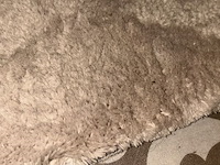 Tapijt - afbeelding 2 van  3