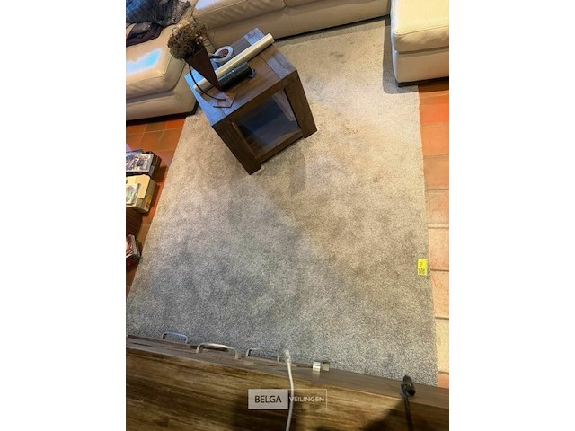 Tapijt - afbeelding 1 van  1