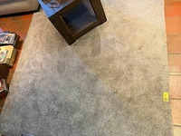 Tapijt - afbeelding 1 van  1