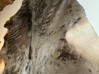 Taxidermie gnoe huid - afbeelding 1 van  1