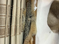 Taxidermie jakhals - afbeelding 1 van  1