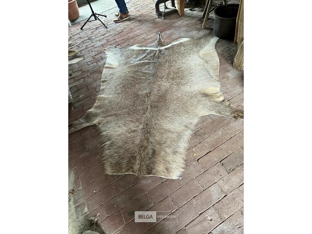 Taxidermie tapijt waterbok - afbeelding 1 van  1