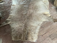 Taxidermie tapijt waterbok - afbeelding 1 van  1