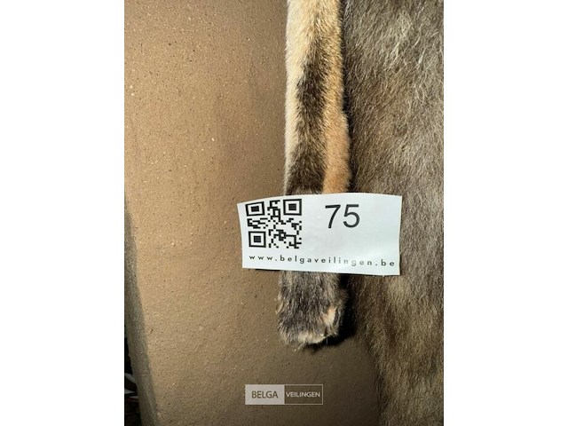 Taxidermie vos - afbeelding 2 van  2