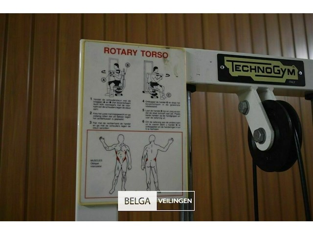 Techno gym rotary torso - afbeelding 8 van  10