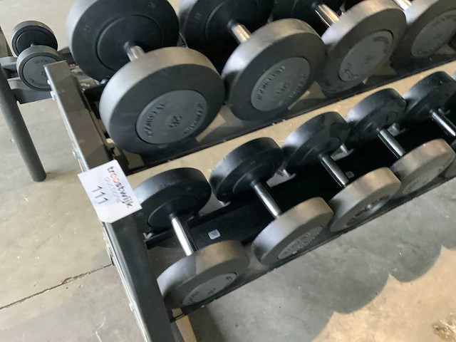Technogym dumbbell 18 t/m 36kg 2x 26kg krachtstation - afbeelding 2 van  9