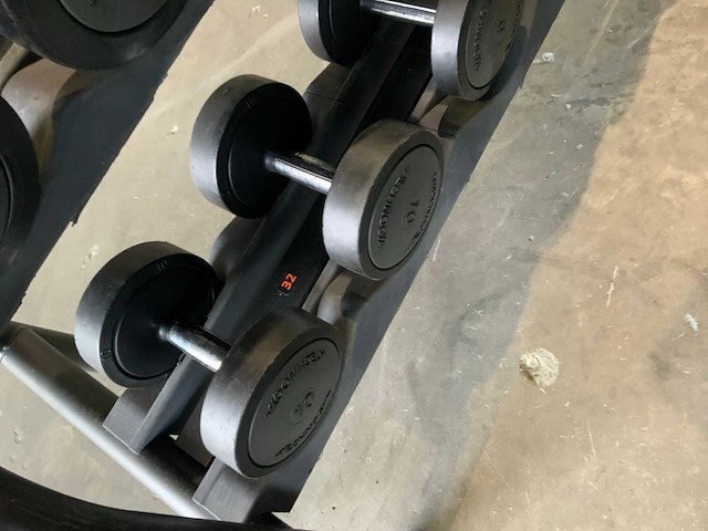 Technogym dumbbell 4 t/m 14kg 1x 32,50 krachtstation - afbeelding 3 van  6