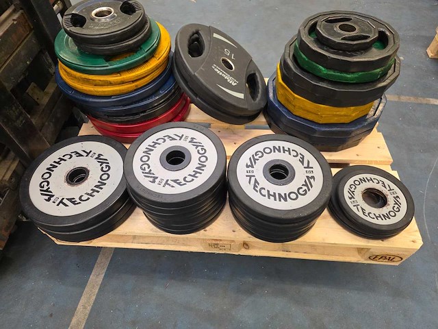 Technogym halterschijven plates - afbeelding 1 van  1