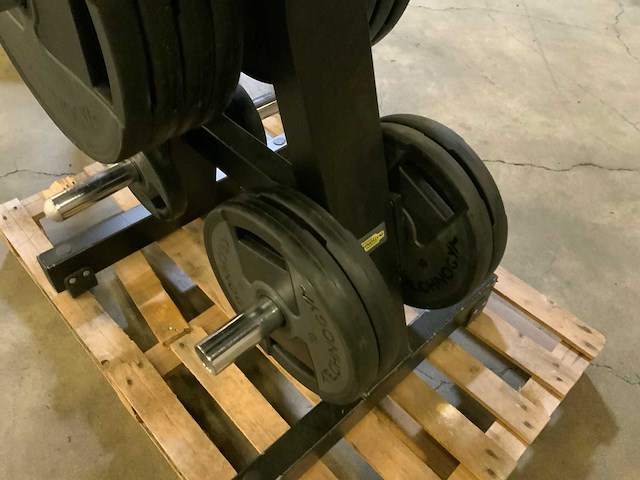 Technogym schijven pu 50mm met pure rek 8x20;14x10;4x2,5kg krachtstation - afbeelding 3 van  7