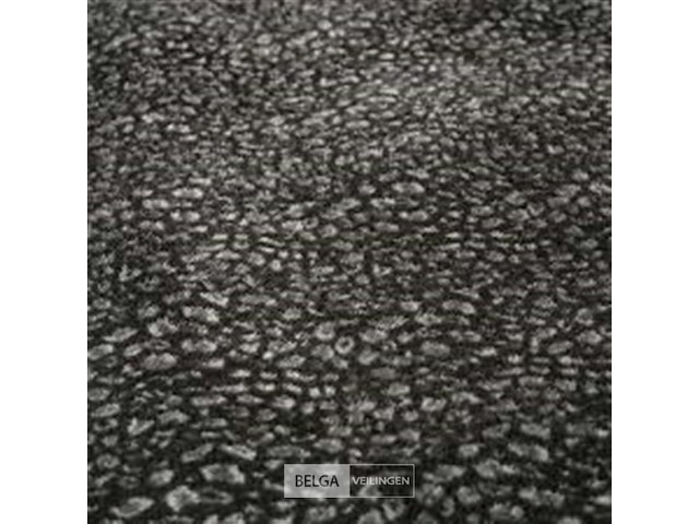 Teddy tiger dekbedovertrek 240x220 - afbeelding 3 van  6