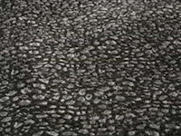 Teddy tiger dekbedovertrek 240x220 - afbeelding 3 van  6