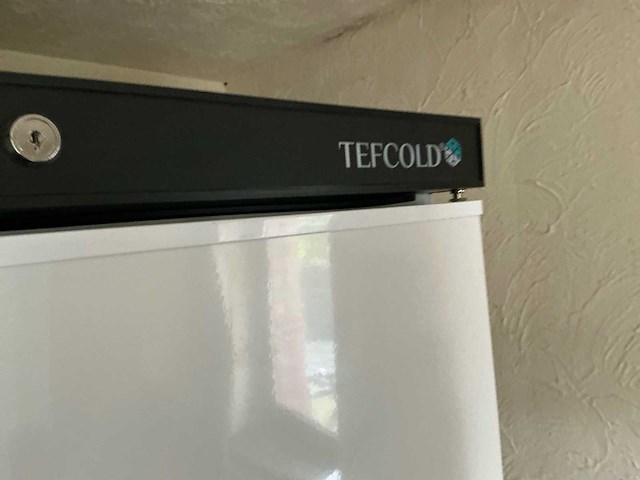 Tefcold koelkast - afbeelding 3 van  7