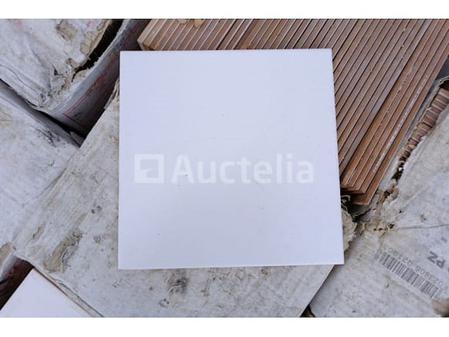 Tegels 20x20 cm (+- 50 m²) - afbeelding 1 van  7