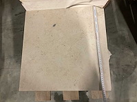 Tegels massangis 50/50/2cm en 49/49/2cm - afbeelding 3 van  9