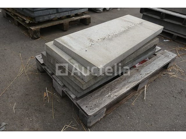 Tegels voor wandbekleding 100x43x5,5 cm - afbeelding 1 van  6