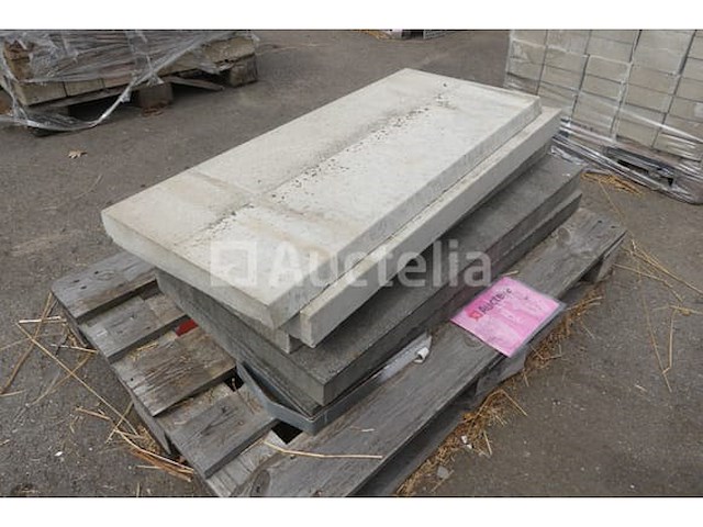 Tegels voor wandbekleding 100x43x5,5 cm - afbeelding 2 van  6