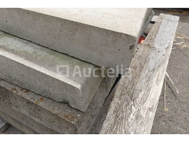 Tegels voor wandbekleding 100x43x5,5 cm - afbeelding 3 van  6