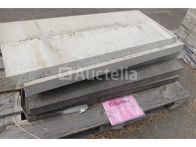 Tegels voor wandbekleding 100x43x5,5 cm - afbeelding 5 van  6