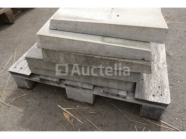 Tegels voor wandbekleding 100x43x5,5 cm - afbeelding 6 van  6