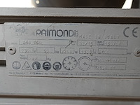 Tegelzaag raimondi - afbeelding 2 van  3