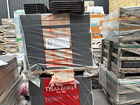 Tejas borja dakpannen - afbeelding 1 van  5