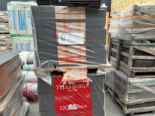 Tejas borja dakpannen - afbeelding 2 van  5