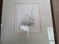 Tekening achter glas - afbeelding 1 van  4
