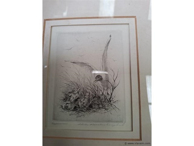 Tekening achter glas - afbeelding 2 van  4