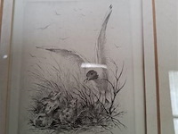 Tekening achter glas - afbeelding 2 van  4