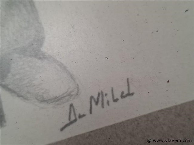 Tekening - afbeelding 2 van  2