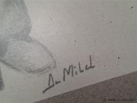 Tekening - afbeelding 2 van  2